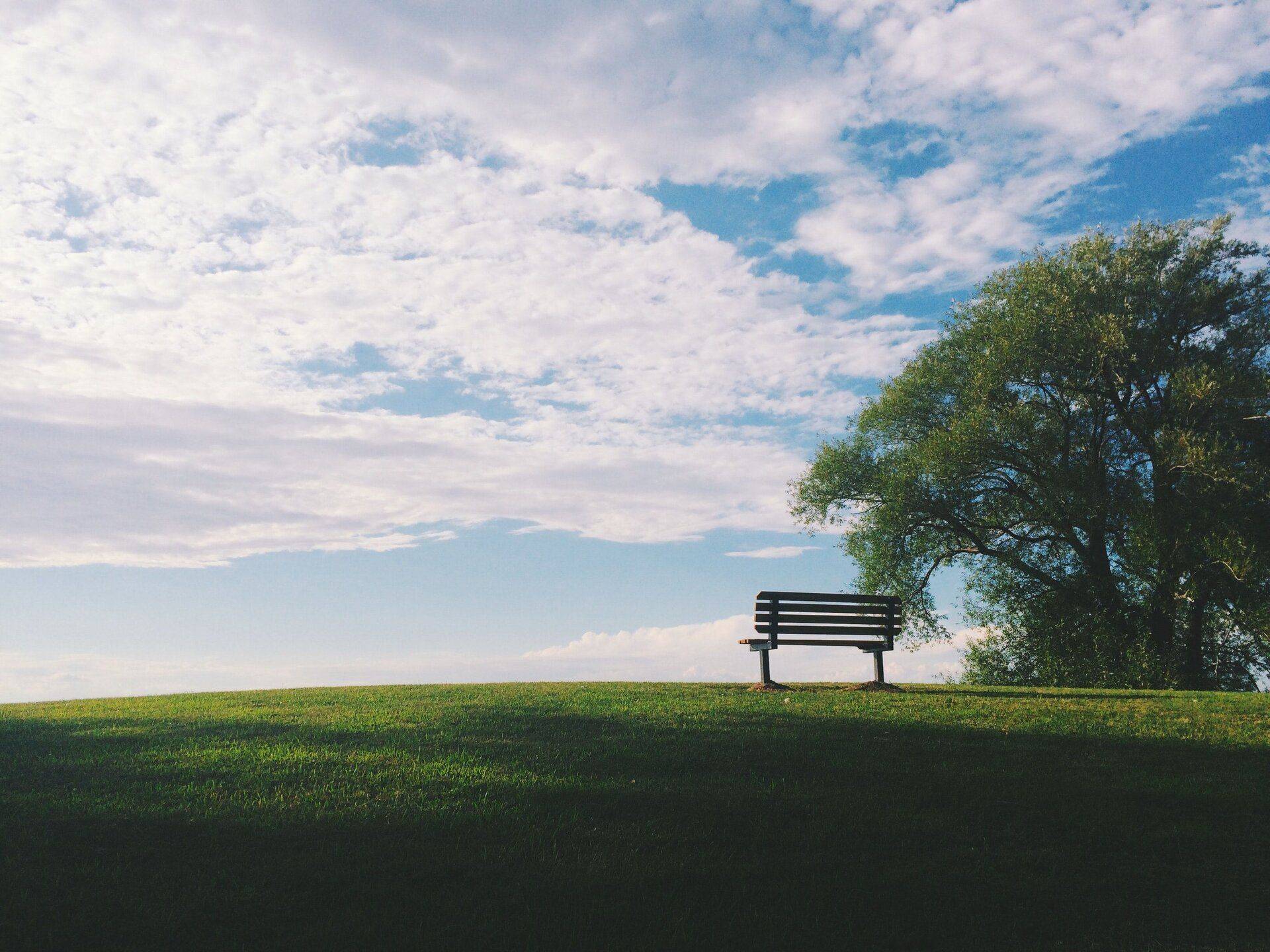 empty bench in park set against vast sky filled with clouds
