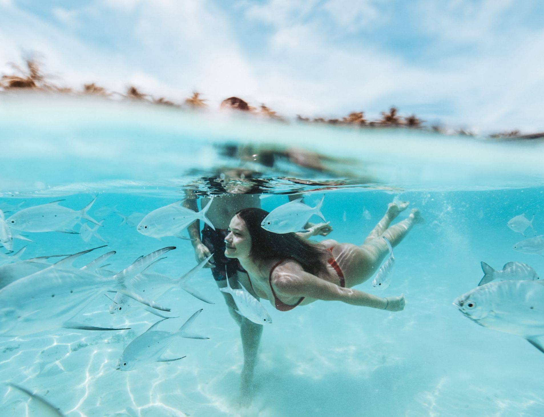 two people swimming in clear water on vacation