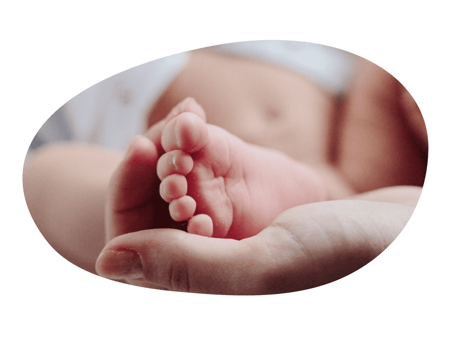 Get Free Maternity Insurance Quotes in Hong Kong Alea